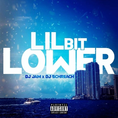 Lil Bit Lower (feat. DJ Schreach) - Single