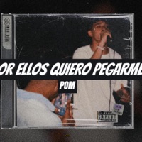 Por ellos quiero pegarme - Single - Pom