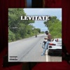 Levitate - Single