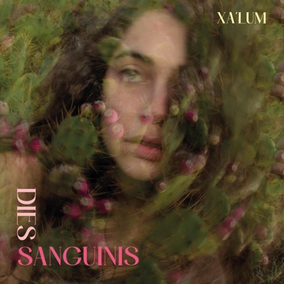 Dies Sanguinis - Single