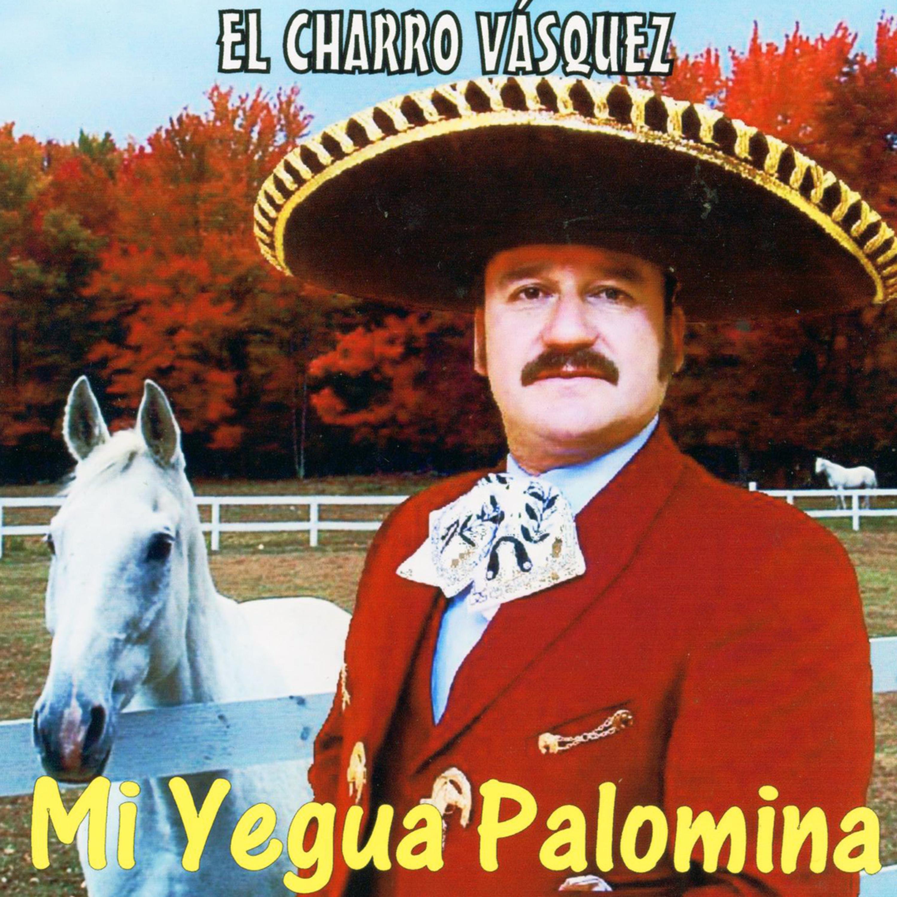 Mi Yegua Palomina