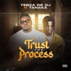 Trust the Process cover art