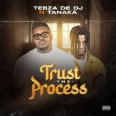 Trust the Process artwork