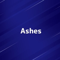 Ashes [Cover] [feat. Rikka] - Single