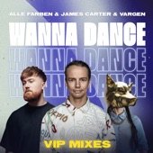 Wanna Dance (Alle Farben VIP Mix) artwork