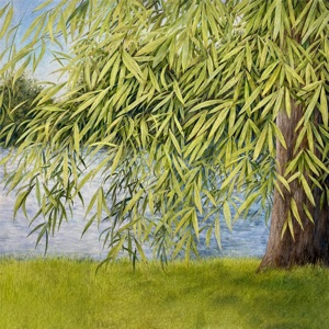 Nothing but Green Willow: The Songs of Mary Sands and Jane Gentry