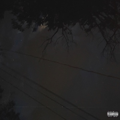 Lonely Smoke (feat. SLEEPYARI) - Single