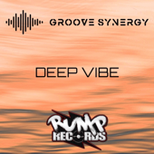 Deep Vibe - Groove Synergy