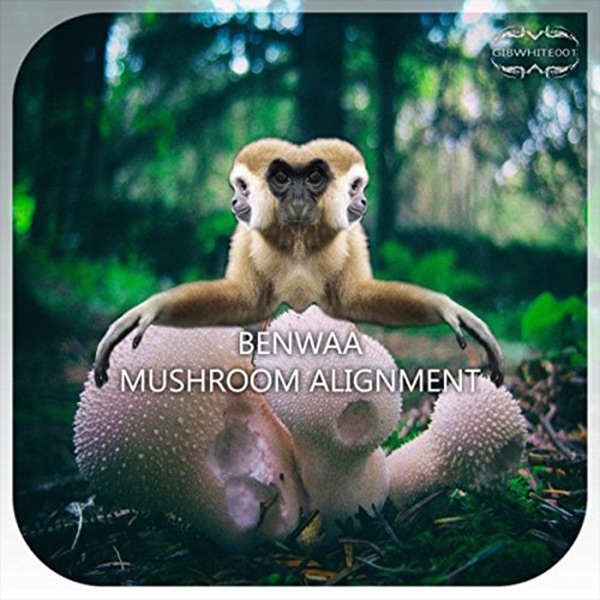 Mushroom Alignment - Single