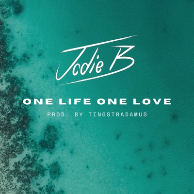 One Life One Love - Single