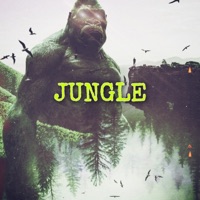 JUNGLE (feat. Steezy Reezy) - Single - K3MMY