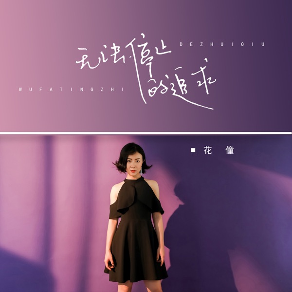 无法停止的追求 - Single
