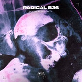 Radical B36 artwork