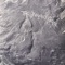 Did you miss me - The Young Gods lyrics