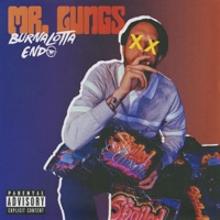 Mr. Lungs - Burnalotta Endo