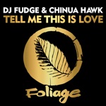 DJ Fudge & Chinua Hawk - Tell Me This Is Love