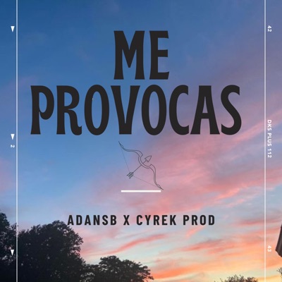 Me Provocas - Single