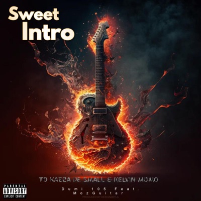 Intro (To kabza De Small & Kelvin Momo) (feat. MozGuitar) - Single