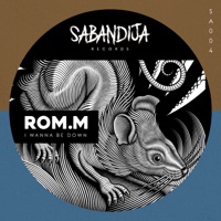 I Wanna Be Down - Single - ROMM