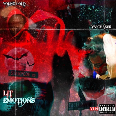 Lit Emotions