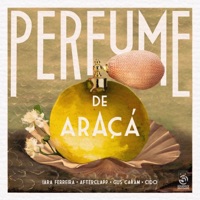 Perfume De Araçá (feat. Gus Caram) - Single - Iara Ferreira, Afterclapp & CIDO