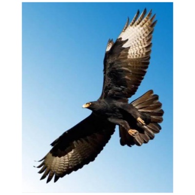 Unique Soundz - Yagamen (feat. Momee Niger & Hauwa)