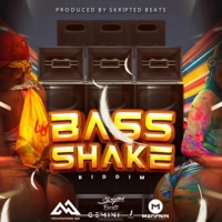 Bass Shake Riddim - Single - Skripted Beats