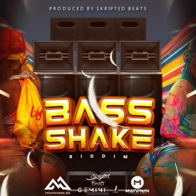 Bass Shake Riddim - Single