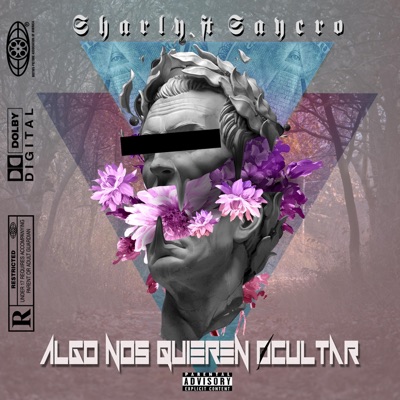 Algo nos quieren ocultar (feat. Saycro) - Single
