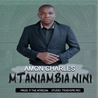 Mtaniambia Nini?? - Single - Amon Charles
