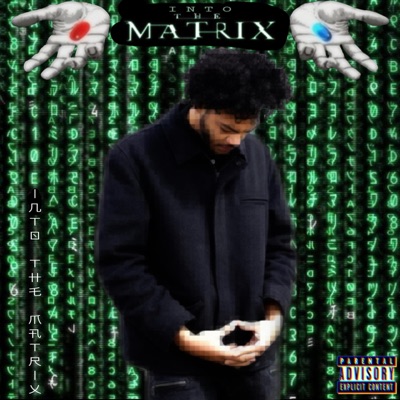 Into The Matrix