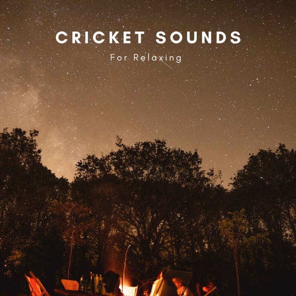 Cricket Sounds For Relaxing - EP