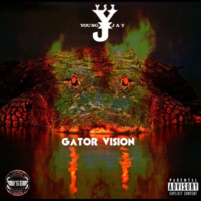 Gator Vision