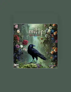 Posłuchaj wykonawcy MILOF, obejrzyj teledyski, przeczytaj biografię, zobacz daty tras koncertowych i nie tylko!