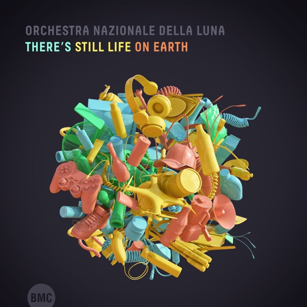 There's Still Life on Earth (feat. Sébastien Boisseau & Teun Verbruggen)