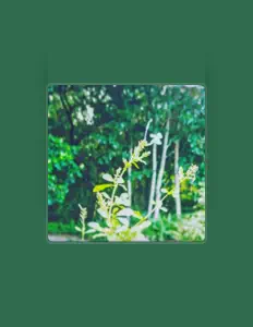 Insomniaを聴いたり、ミュージックビデオを鑑賞したり、経歴やツアー日程などを確認したりしましょう！