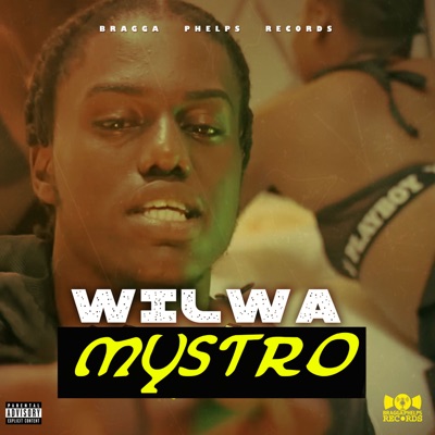 Mystro (feat. Bragga Phelps) - Single