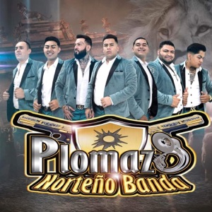 La mujer mas feliz - Single