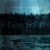 Something That Looks Like Stars cover art