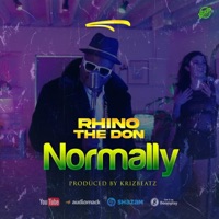 Normally - Single - Rhino The Don