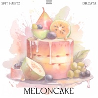 Meloncake (feat. Dr. Data) - Single - Spit Habitz