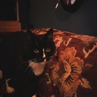 Roger (feat. Mel) - Single - amorK