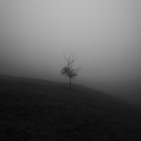 Apocalypse - EP - Ondi Vil & Sunset Løver