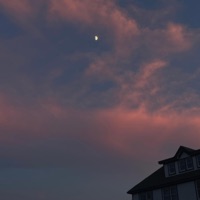 Do We Ever Agree? - Single - Jay Violet