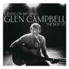 Glen Campbell - Turn Around, Look At Me artwork