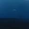 Disappear - amies lyrics
