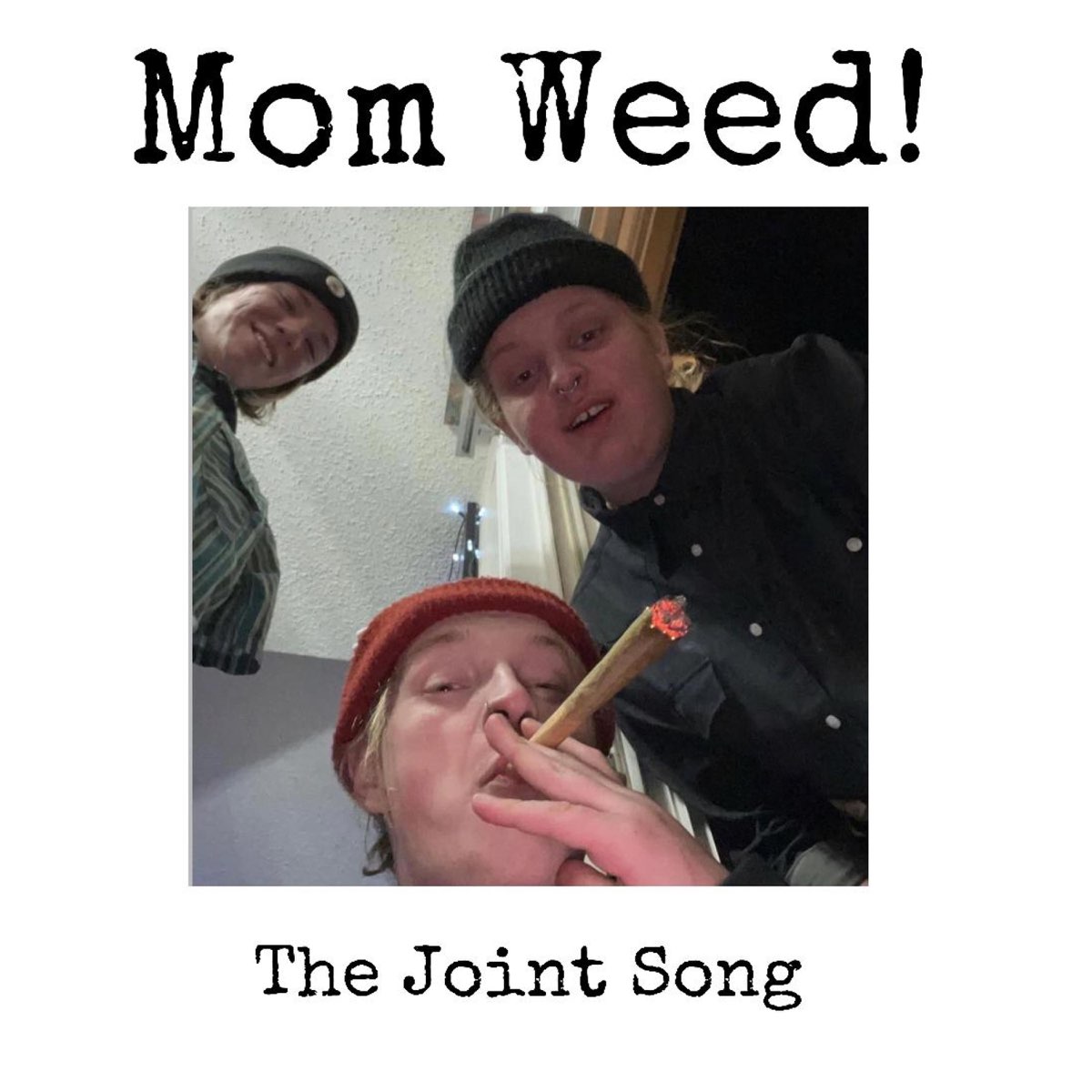 ‎The Joint Song (Demo) Single Album by Mom Weed Apple Music