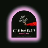 Find My Bliss (feat. David Meli) [Remix] - Single - Abe van meter