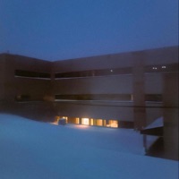 Malpractice - Single - Tayo & Tooly?