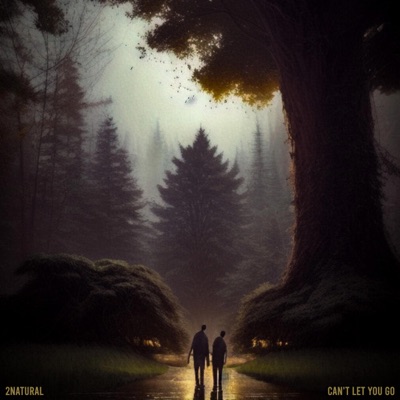 Can't Let You Go (feat. Young Viridii & Jonathan Plummer) - Single